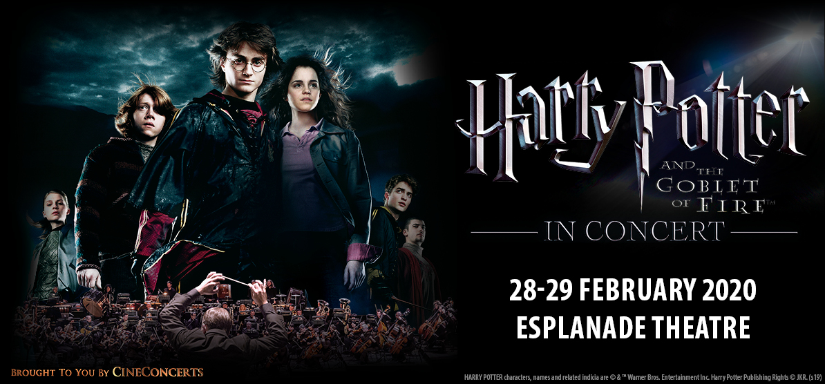 harry potter upcoming movie