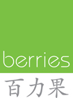 Berries Logo Rev